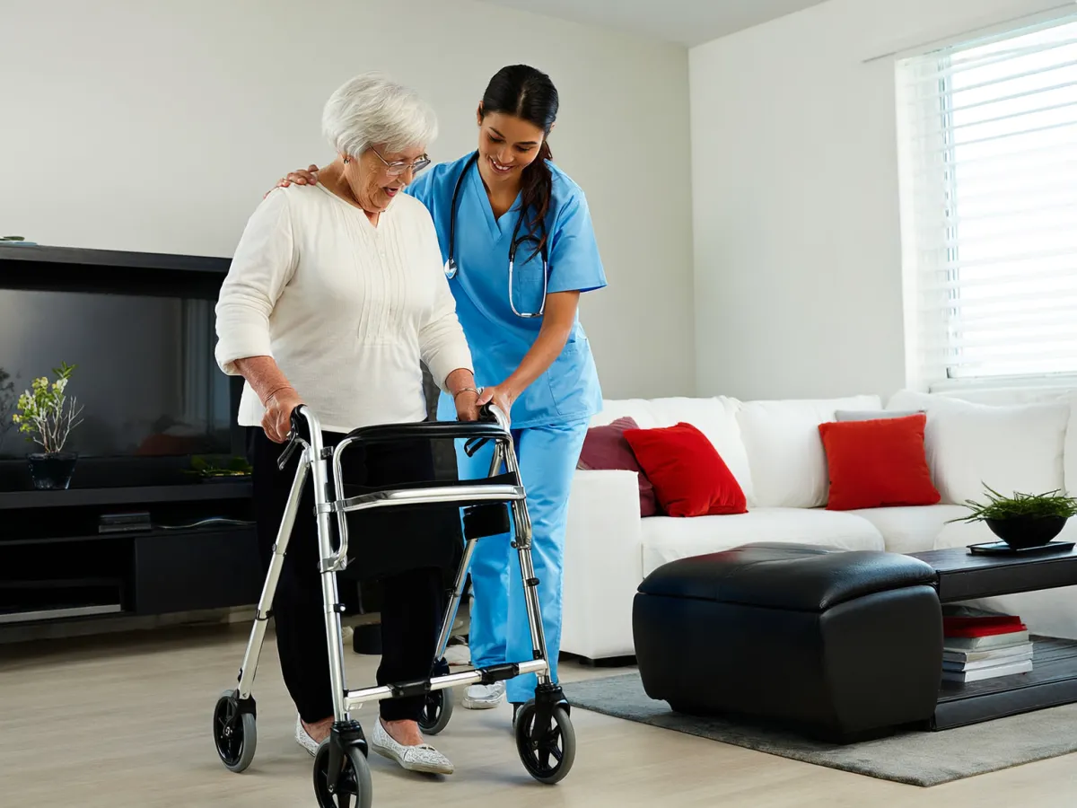 OUR SERVICES — Advance Elite Solution